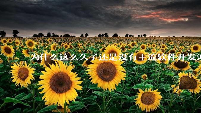 为什么这么久了还是没有主流软件开发鸿蒙版？