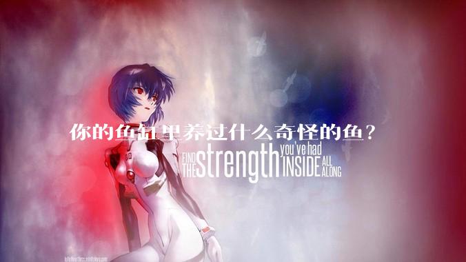 你的鱼缸里养过什么奇怪的鱼？