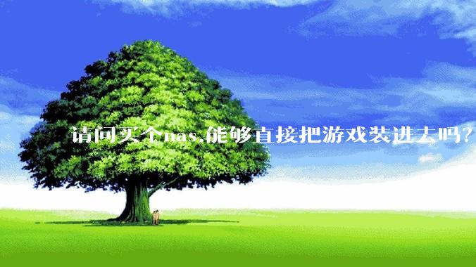 请问买个nas,能够直接把游戏装进去吗？