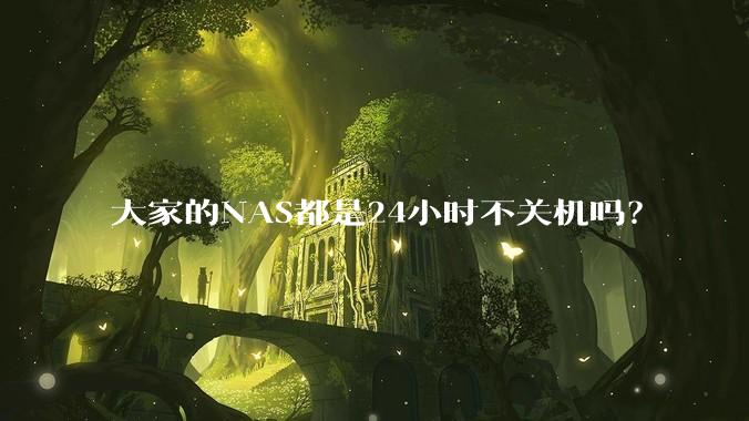 大家的NAS都是24小时不关机吗？