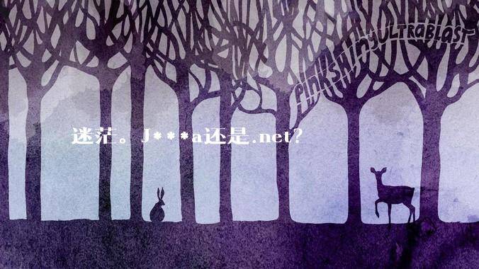 迷茫。J***a还是.net？